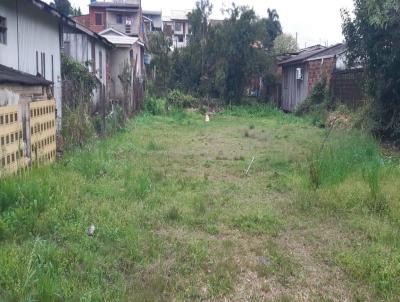 Terreno para Venda, em Taquara, bairro Mundo Novo